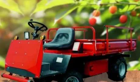 Cortador de motor elétrico