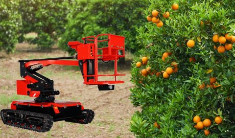 The Application of Electric Lifting Platforms in Modern Orchard Management