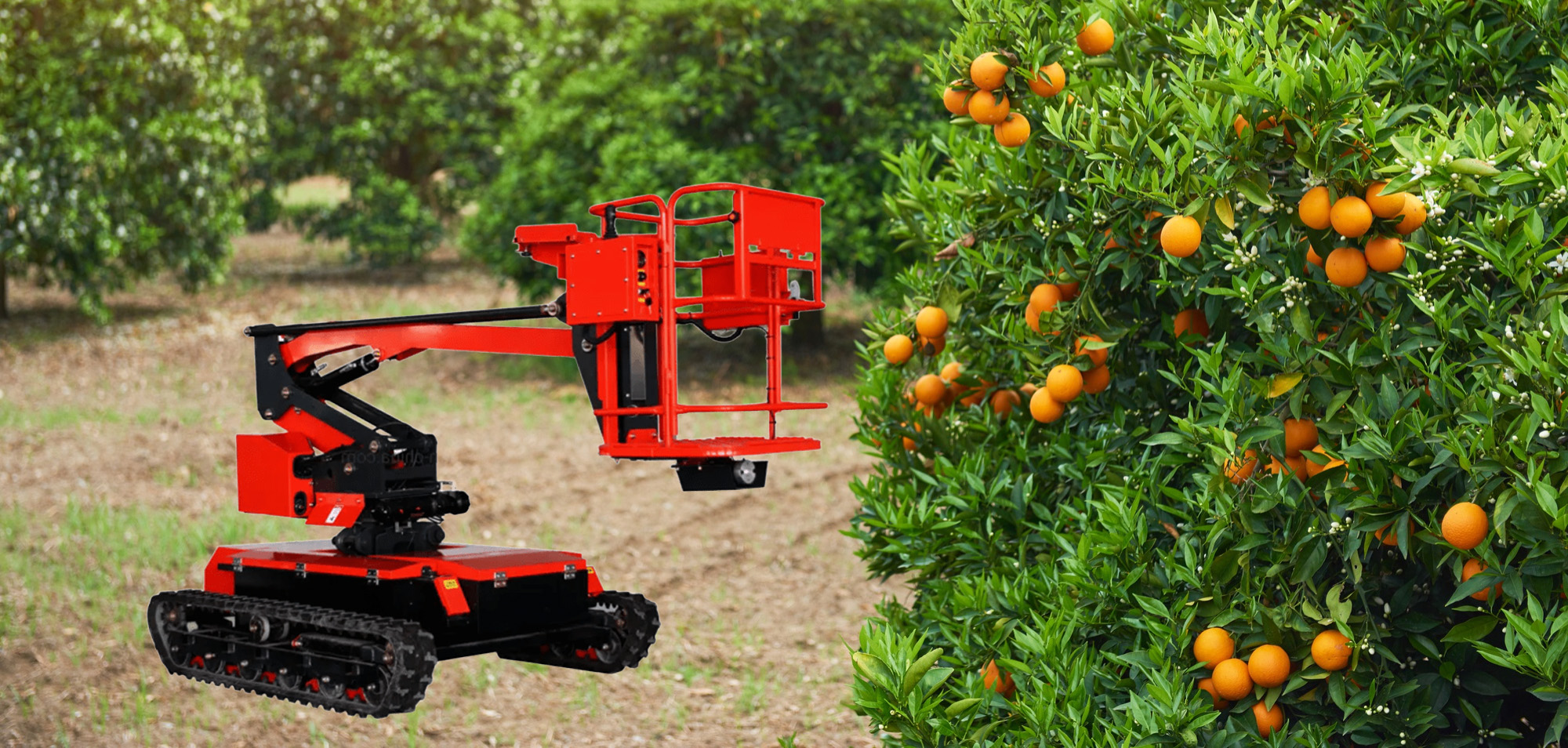 The Application of Electric Lifting Platforms in Modern Orchard Management